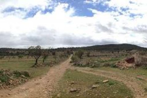 Tomt i Yecla, Murcia, Yecla - € 3 000 000 | Ref: 44015 - foto 13