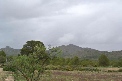 Tomt i Yecla, Murcia, Yecla - € 3 000 000 | Ref: 44015 - foto 17