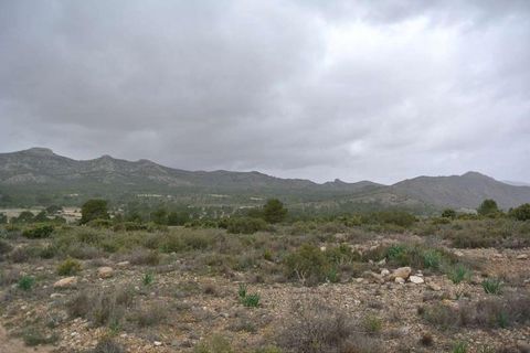 Tomt i Yecla, Murcia, Yecla - € 3 000 000 | Ref: 44015 - foto 18