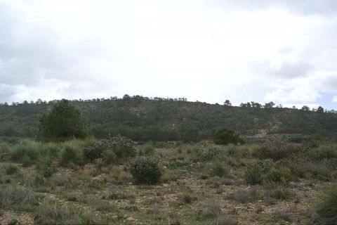 Tomt i Yecla, Murcia, Yecla - € 3 000 000 | Ref: 44015 - foto 20
