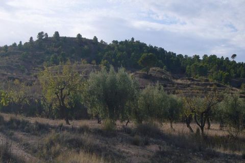 Ruinere i Macisvenda, Murcia, Macisvenda - € 30.995 | Ref: 1186C2311 - foto 2