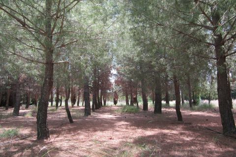Villa i Yecla, Murcia, Yecla - € 590.000 | Ref: 5408C2309 - foto 9