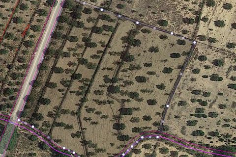 Terra a Biar, Alicante, Biar - € 29.995 | Ref: 11813C2308 - foto 4
