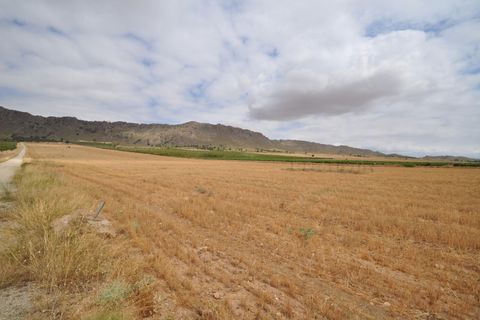Helårsgrund i Yecla, Murcia, Yecla - € 35.000 | Ref: 9791 - foto 10