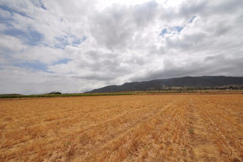Helårsgrund i Yecla, Murcia, Yecla - € 35.000 | Ref: 9791 - foto 13