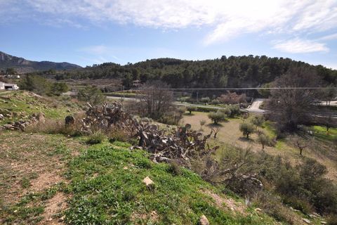 Cave house i La Zarza, Murcia, La Zarza - € 85.000 | Ref: 9983C21 - foto 15