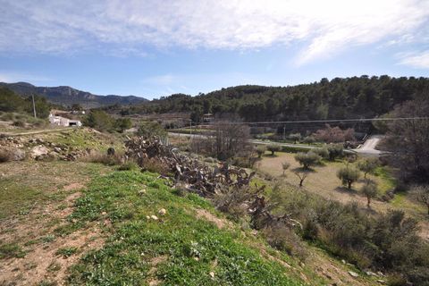 Cave house i La Zarza, Murcia, La Zarza - € 85.000 | Ref: 9983C21 - foto 17