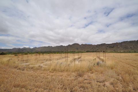 Helårsgrund i Yecla, Murcia, Yecla - € 35.000 | Ref: 9792 - foto 4