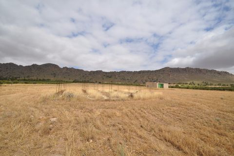 Helårsgrund i Yecla, Murcia, Yecla - € 35.000 | Ref: 9792 - foto 5