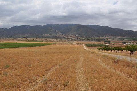 Helårsgrund i Yecla, Murcia, Yecla - € 35.000 | Ref: 9792 - foto 8