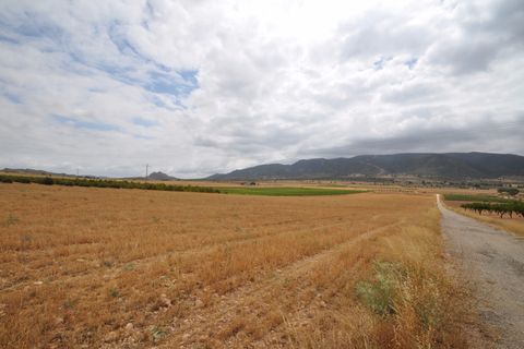 Helårsgrund i Yecla, Murcia, Yecla - € 35.000 | Ref: 9792 - foto 9