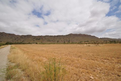 Helårsgrund i Yecla, Murcia, Yecla - € 35.000 | Ref: 9792 - foto 10