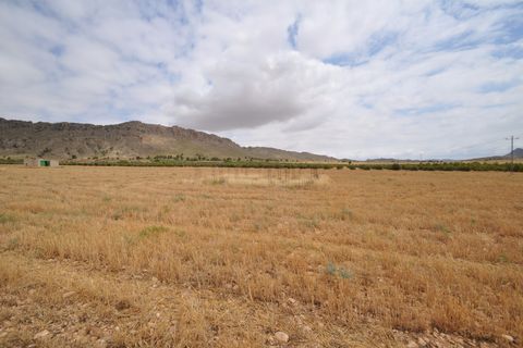 Helårsgrund i Yecla, Murcia, Yecla - € 35.000 | Ref: 9792 - foto 11