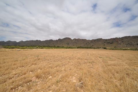 Helårsgrund i Yecla, Murcia, Yecla - € 35.000 | Ref: 9792 - foto 12