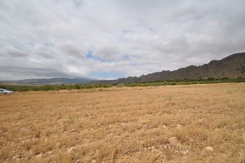 Helårsgrund i Yecla, Murcia, Yecla - € 35.000 | Ref: 9792 - foto 13