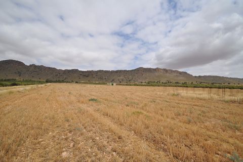Helårsgrund i Yecla, Murcia, Yecla - € 35.000 | Ref: 9792 - foto 14