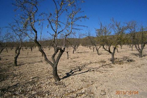 Helårsgrund i Yecla, Murcia, Yecla - € 84.995 | Ref: 2215C2305 - foto 2