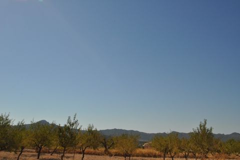 Helårsgrund i Macisvenda, Murcia, Macisvenda - € 29.999 | Ref: 11802c2202 - foto 5