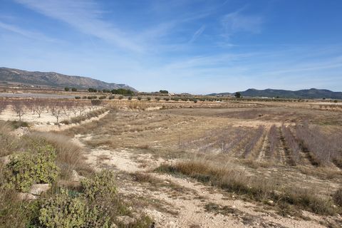 Helårsgrund i Pinoso, Alicante, Pinoso - € 30.995 | Ref: 11709 - foto 4