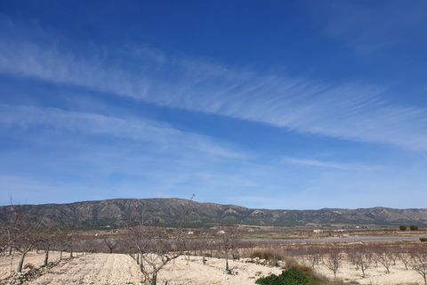 Helårsgrund i Pinoso, Alicante, Pinoso - € 30.995 | Ref: 11709 - foto 6