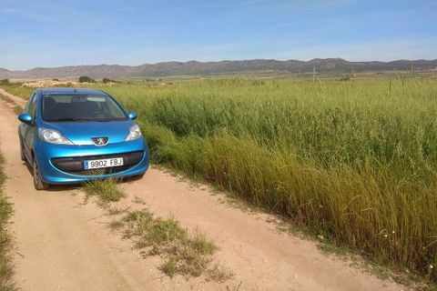 Helårsgrund i Yecla, Murcia, Yecla - € 599.999 | Ref: 5348 - foto 5