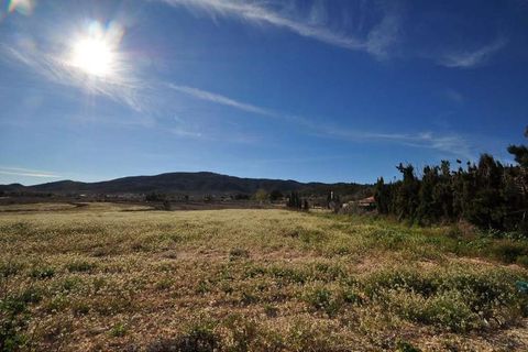 Terra a Chinorlet, Alicante, Chinorlet - € 46.000 | Ref: 9561 - foto 3