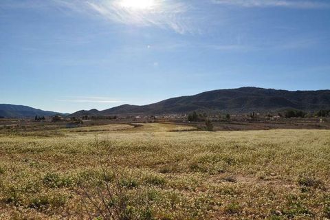 Terra a Chinorlet, Alicante, Chinorlet - € 46.000 | Ref: 9561 - foto 6