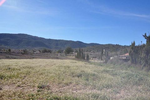 Terra a Chinorlet, Alicante, Chinorlet - € 46.000 | Ref: 9561 - foto 8