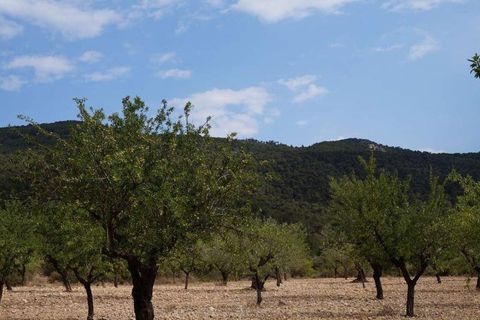 Tomt i Yecla, Murcia, Yecla - € 29 995 | Ref: 9403 - foto 2
