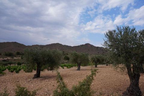 Tomt i Yecla, Murcia, Yecla - € 29 995 | Ref: 9403 - foto 6