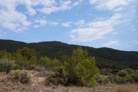 Tomt i Yecla, Murcia, Yecla - € 29 995 | Ref: 9403 - foto 7