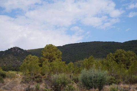 Tomt i Yecla, Murcia, Yecla - € 29 995 | Ref: 9403 - foto 8
