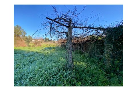 Helårsgrund i Ponte de Lima, Viana do Castelo, Ponte de Lima - € 35.000 | Ref: UNU-F3-04-206 - foto 2