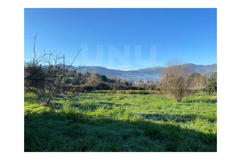 Helårsgrund i Ponte de Lima, Viana do Castelo, Ponte de Lima - € 35.000 | Ref: UNU-F3-04-206 - foto 3