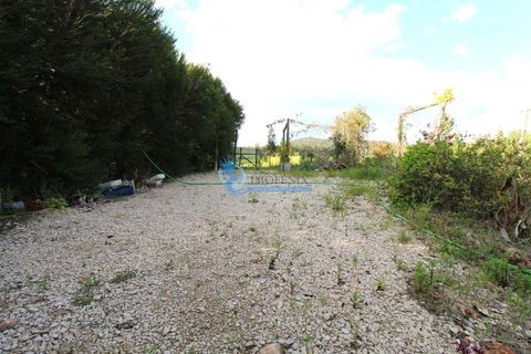 Helårsgrund i Silves, Faro, Silves - € 99.900 | Ref: T825 - foto 6