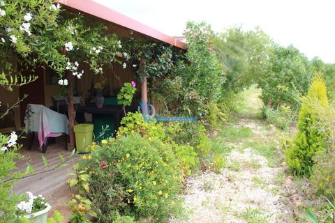 Helårsgrund i Silves, Faro, Silves - € 99.900 | Ref: T825 - foto 4