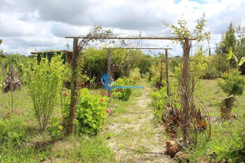 Helårsgrund i Silves, Faro, Silves - € 99.900 | Ref: T825 - foto 18