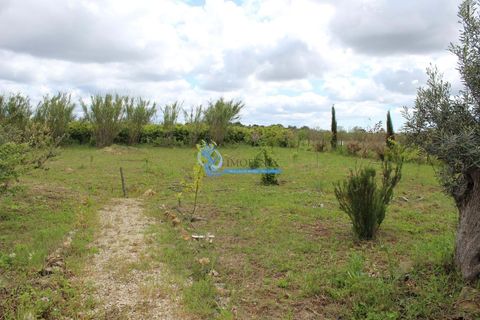 Helårsgrund i Silves, Faro, Silves - € 99.900 | Ref: T825 - foto 24