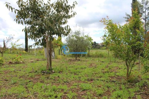 Helårsgrund i Silves, Faro, Silves - € 99.900 | Ref: T825 - foto 26