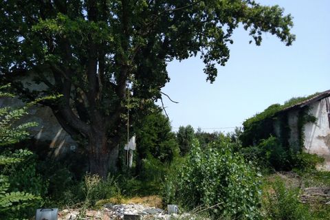 Helårsgrund i Carpi, Modena, Carpi - € 220.000 | Ref: L 32 - foto 2