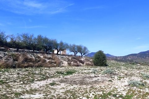 Helårsgrund i Planes, Alicante, Planes - € 75.000 | Ref: 8181 - foto 4
