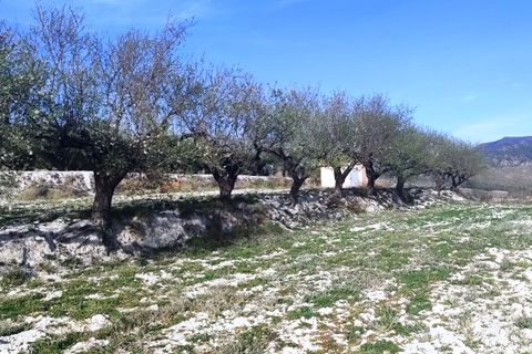 Helårsgrund i Planes, Alicante, Planes - € 75.000 | Ref: 8181 - foto 5
