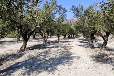 Helårsgrund i Planes, Alicante, Planes - € 75.000 | Ref: 8181 - foto 6