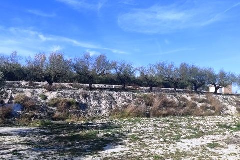 Helårsgrund i Planes, Alicante, Planes - € 75.000 | Ref: 8181 - foto 7