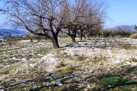 Helårsgrund i Planes, Alicante, Planes - € 75.000 | Ref: 8181 - foto 8