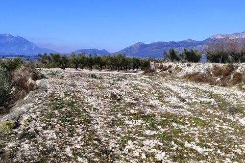 Helårsgrund i Planes, Alicante, Planes - € 75.000 | Ref: 8181 - foto 10