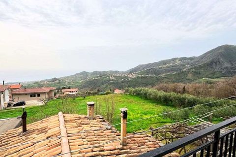 Terra a Belvedere Marittimo, Cosenza, Belvedere Marittimo - € 130.000 | Ref: 1164 - foto 2