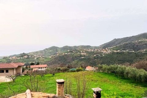 Terra a Belvedere Marittimo, Cosenza, Belvedere Marittimo - € 130.000 | Ref: 1164 - foto 3