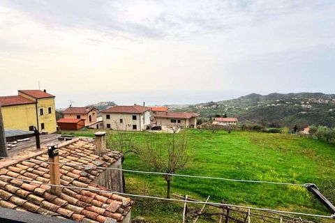Terra a Belvedere Marittimo, Cosenza, Belvedere Marittimo - € 130.000 | Ref: 1164 - foto 4