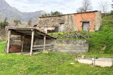 Terra a Belvedere Marittimo, Cosenza, Belvedere Marittimo - € 130.000 | Ref: 1164 - foto 5